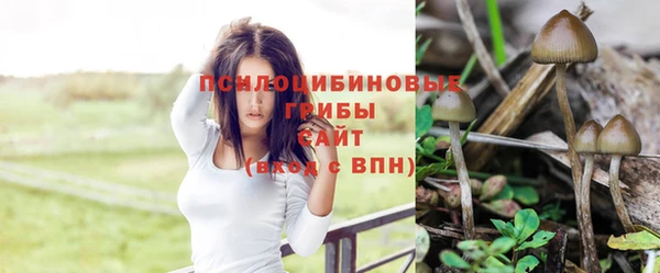 apvp Михайлов