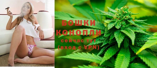 apvp Михайлов