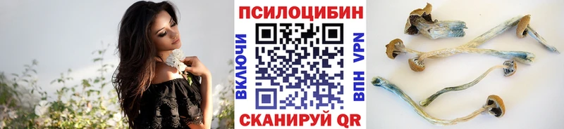Псилоцибиновые грибы Cubensis  Купить  Приморск 