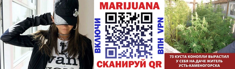 Купить где  Приморск  МАРИХУАНА MAZAR 
