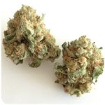 Шишки "White Widow"  (Белая вдова)  Гидропоника -  Бошка VHQ в Приморске