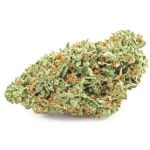 Шишки OG Kush  (Гидропоника, бошки) VHQ в Приморске